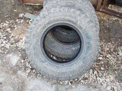 PB142769.JPG