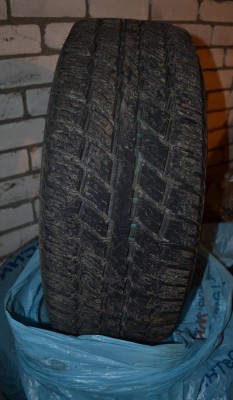 DSC_1418.JPG