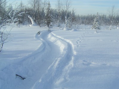 PICT0109.JPG