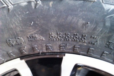 IMAG0901_int.jpg