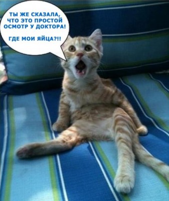 осмотр.jpg