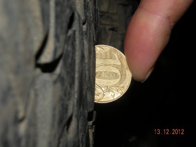 DSCN3505.JPG