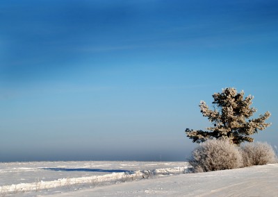 тень2.jpg