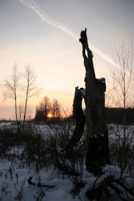 Image00008.jpg