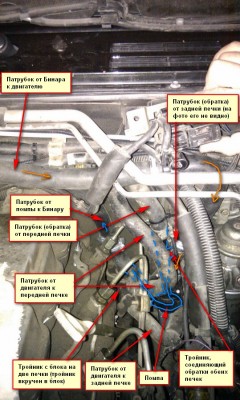 IMAG1344-1.jpg