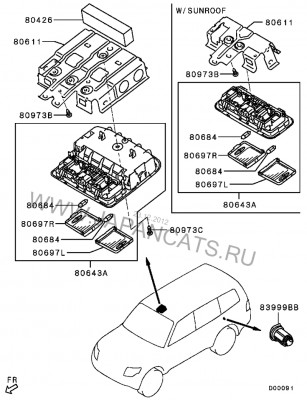 Очёшник П4.JPG