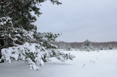 20130108-DSC_0069-2.jpg