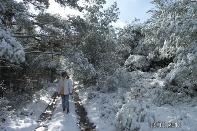 PICT0082.JPG
