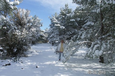 PICT0088.JPG