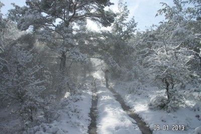PICT0103.JPG