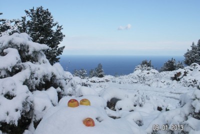 PICT0068.JPG