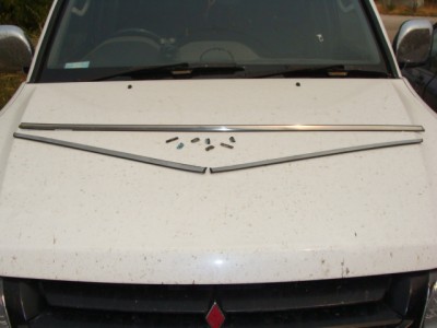 pinin 001.JPG
