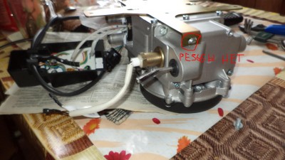 DSC00781.JPG