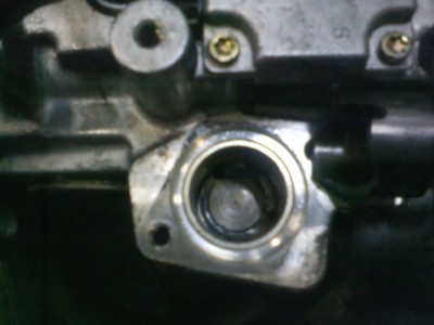 IMG10009.jpg