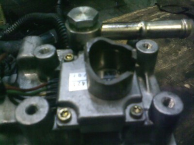 IMG10010.jpg