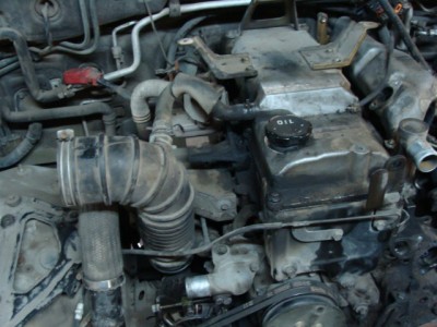 февраль 2010 023.JPG