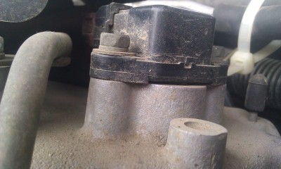 IMAG0421.jpg