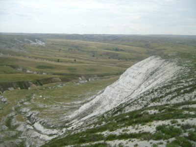S7007413.JPG