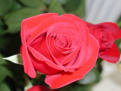 R 1.JPG