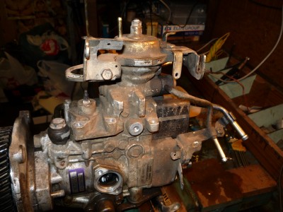 P1000095.JPG