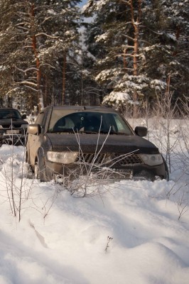 СнежныйБарс(2013)-3150.jpg