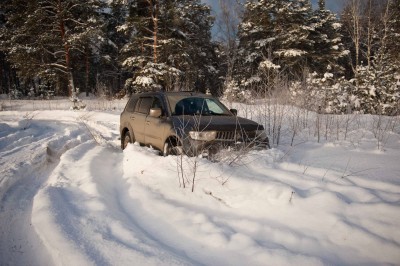 СнежныйБарс(2013)-3149.jpg