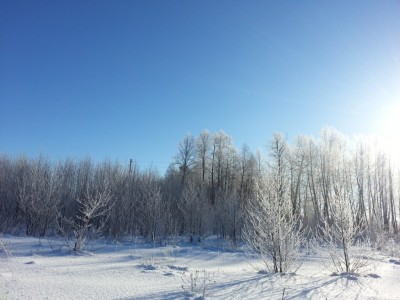 20130126_123741.jpg