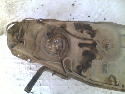 IMG0123A.jpg