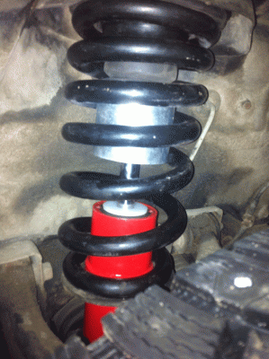 IMG_2817[1].gif