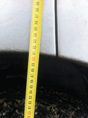 IMG_2845[1].gif