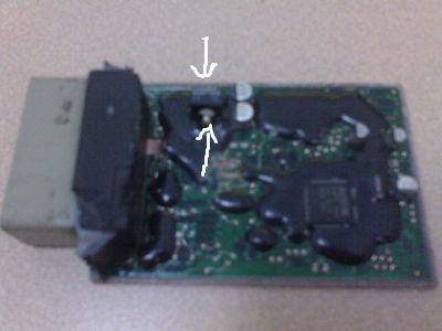 normal_11122008474.jpg