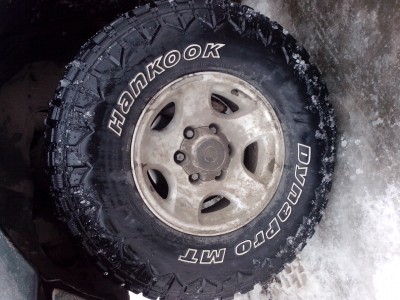 IMG_20130211_103823.jpg