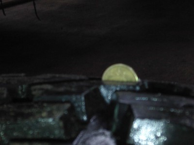 IMG00075.jpg