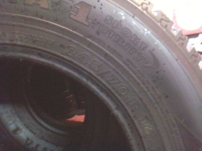 IMG0165A.jpg