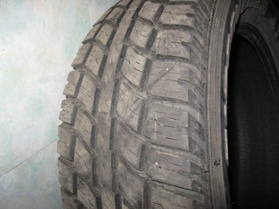 IMG_6865_1.JPG