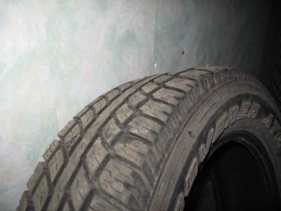 IMG_6864_1.JPG