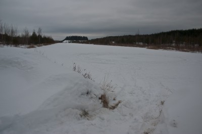 CRW_8318.jpg
