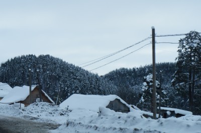DSC02166.JPG