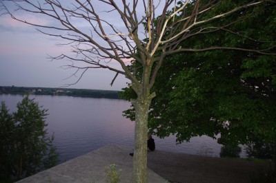 IMGP1350.jpg