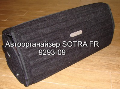 Cотра 3D.JPG