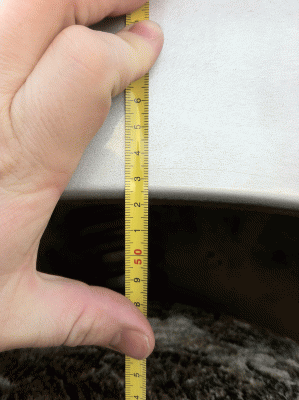 IMG_2889[1].gif