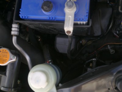03092010112.jpg