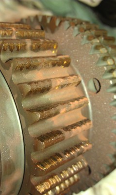 IMAG0382.jpg