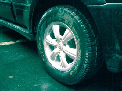 IMG100.jpg