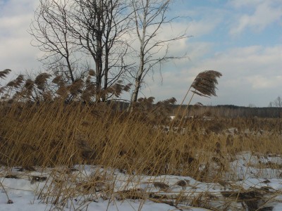 WP_000465.jpg