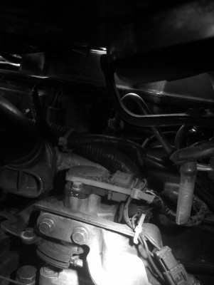 IMG_29-03-2012_181712.jpg
