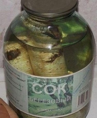 QrxnbOGZyuM.jpg