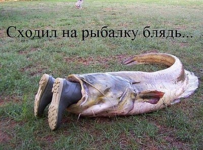 getImageCA9N2H9W.jpg