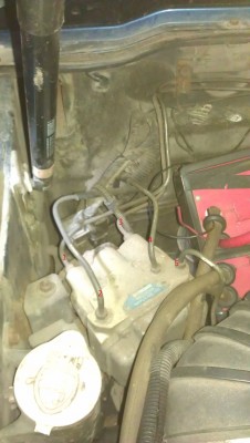 IMAG02711.jpg