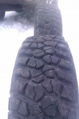 IMAG0225.jpg
